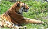 Nagarhole National Park