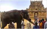 Tanjore Temple